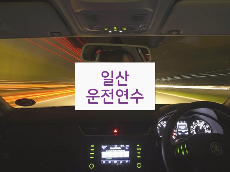 일산운전연수 후기