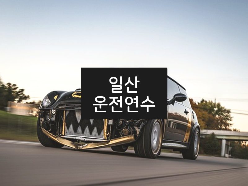 일산운전연수 후기