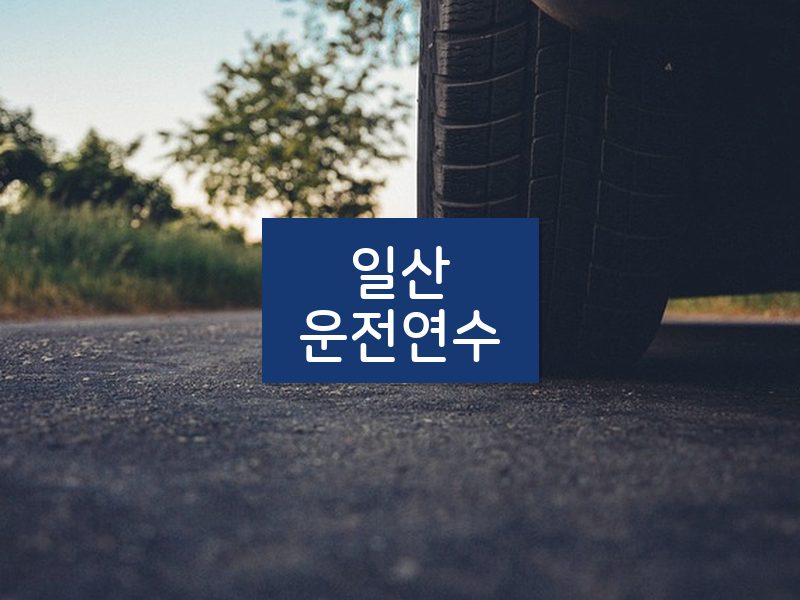 일산운전연수 후기