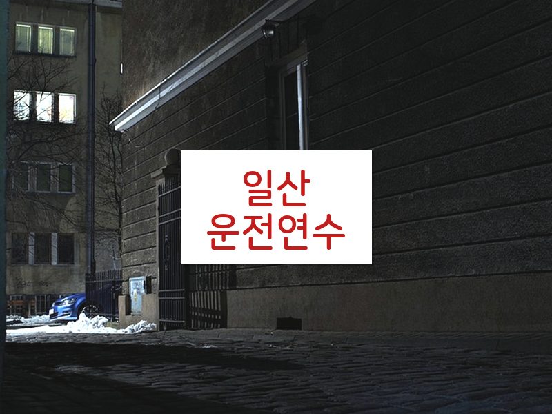 일산운전연수 후기