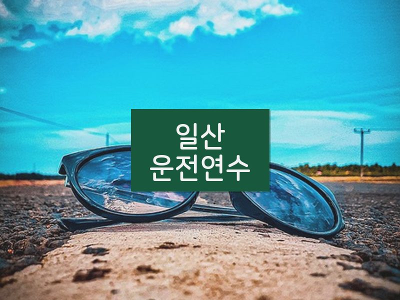 일산운전연수 후기