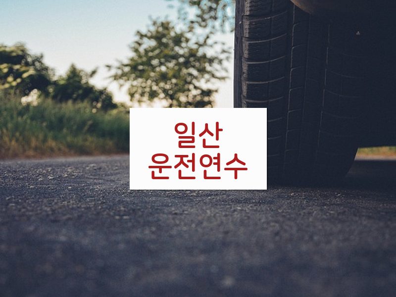 일산운전연수 후기
