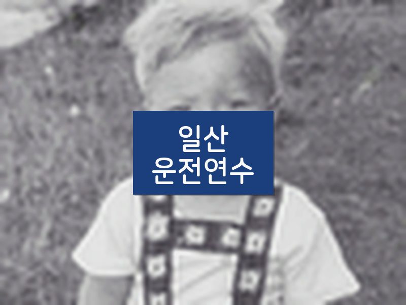 일산운전연수 후기