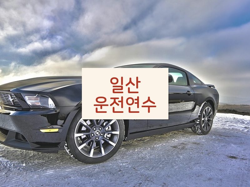 일산운전연수 후기