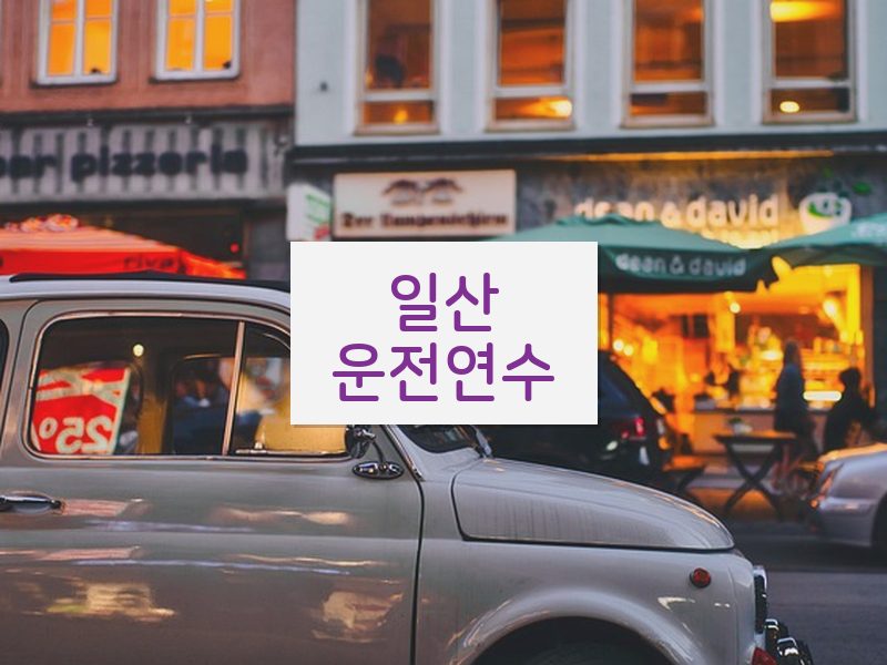 일산운전연수 후기