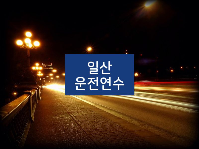 일산운전연수 후기