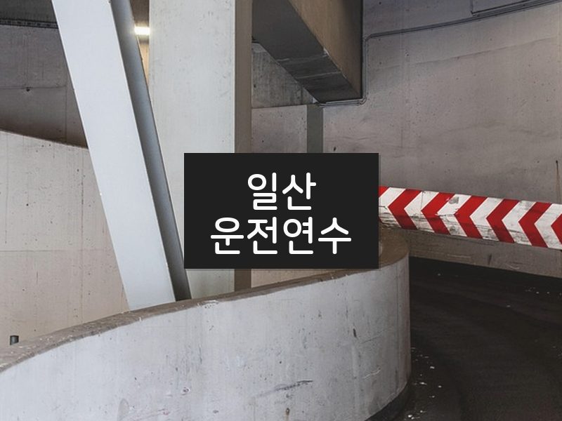 일산운전연수 후기