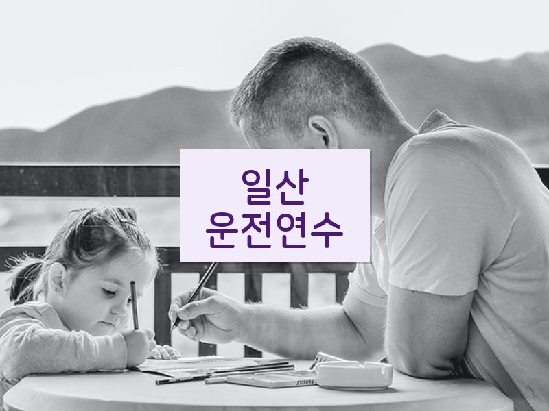 일산운전연수 후기