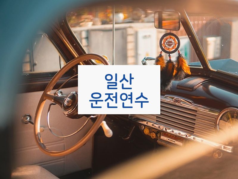 일산운전연수 후기