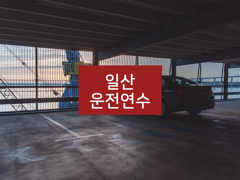 일산운전연수 후기