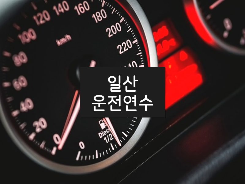 일산운전연수 후기