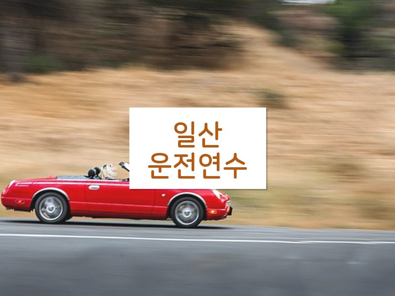 일산운전연수 후기