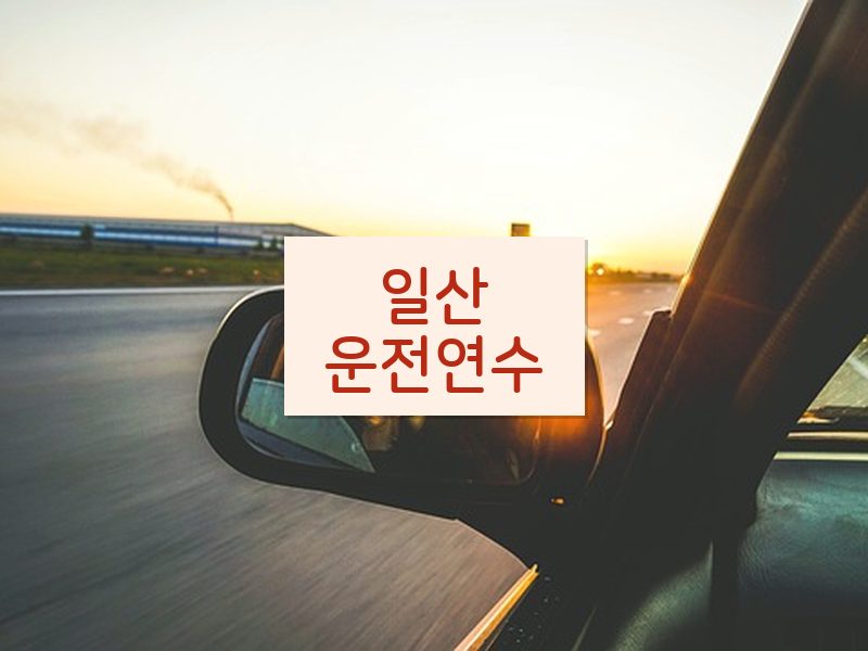 일산운전연수 후기