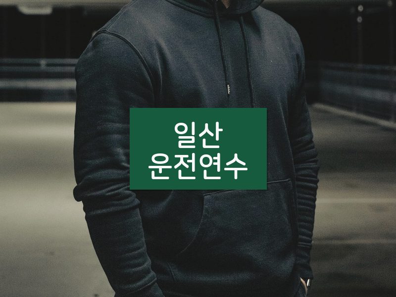 일산운전연수 후기