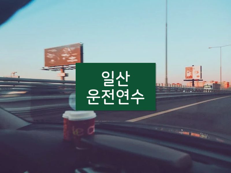 일산운전연수 후기