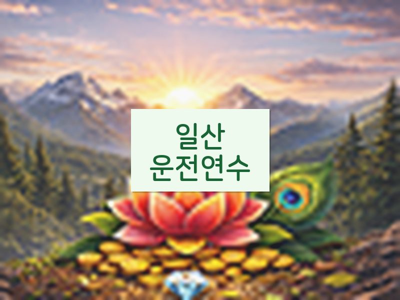 일산운전연수 후기