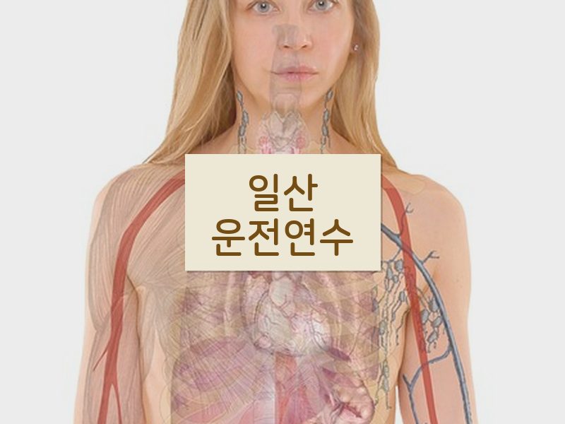 일산운전연수 후기