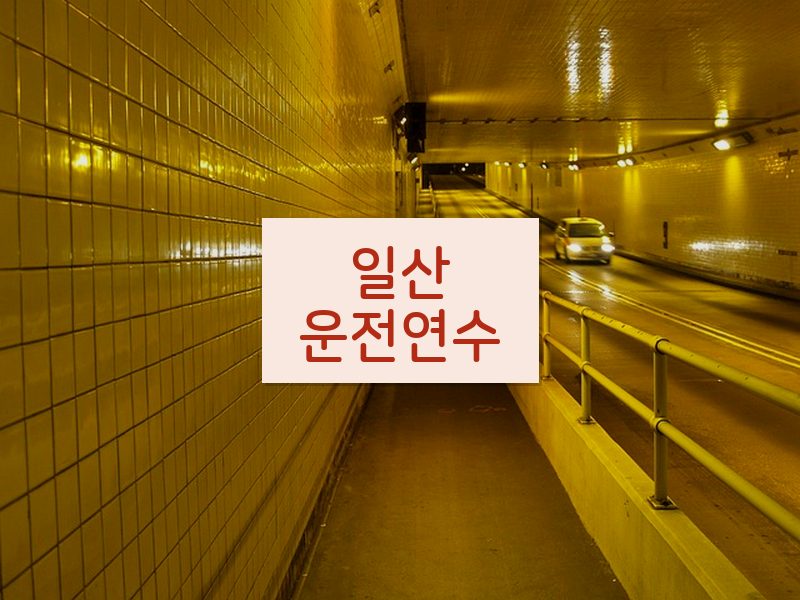 일산운전연수 후기