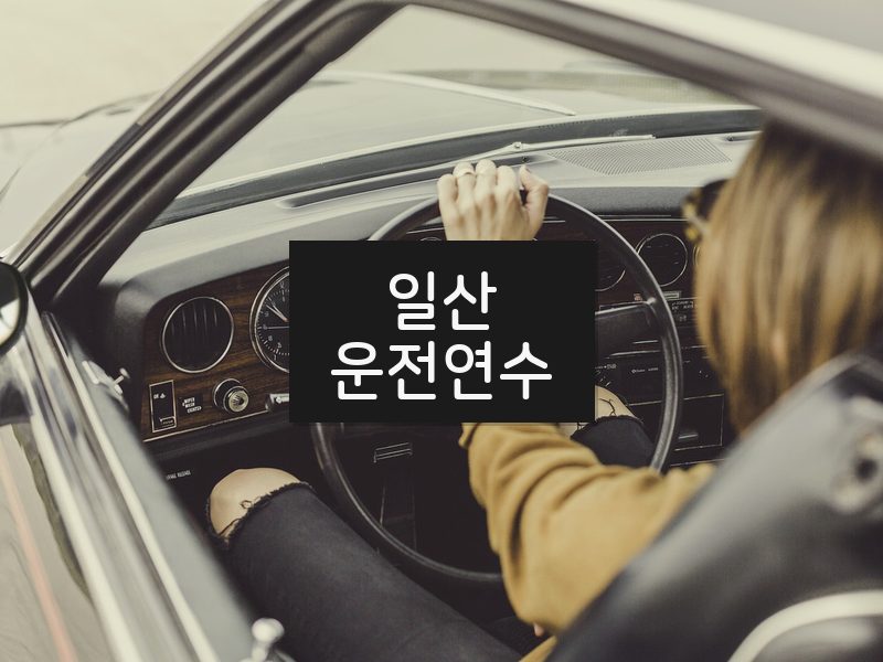 일산운전연수 후기