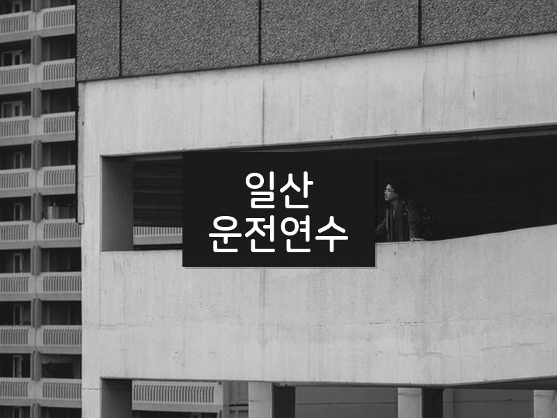 일산운전연수 후기