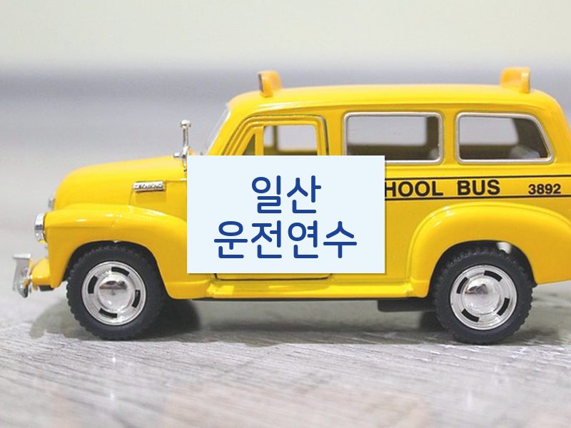 일산운전연수 후기