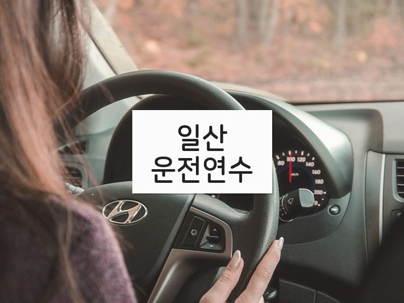 일산운전연수 후기
