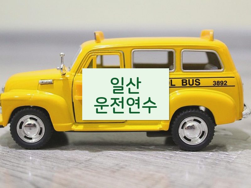 일산운전연수 후기
