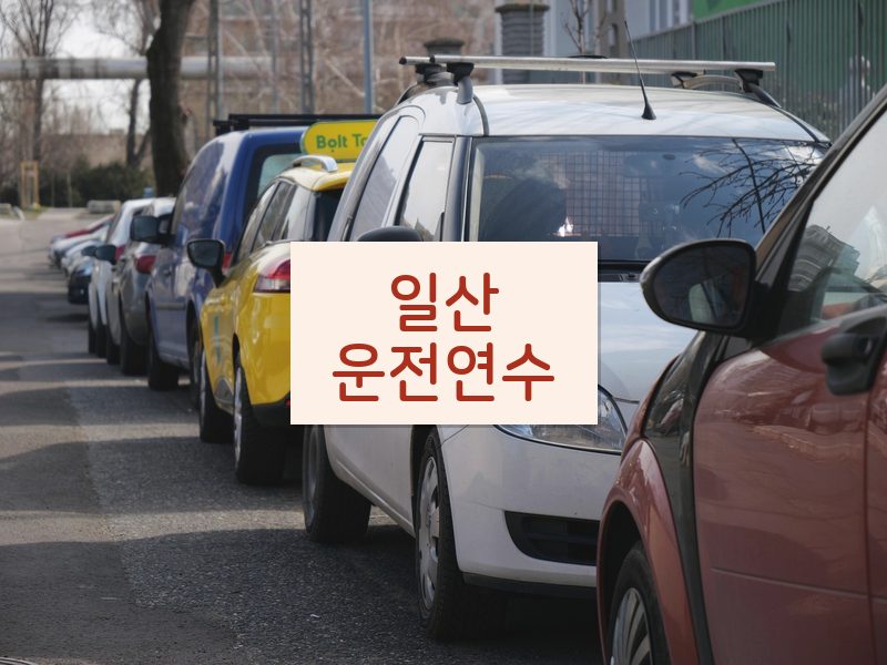 일산운전연수 후기