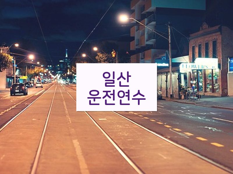 일산운전연수 후기