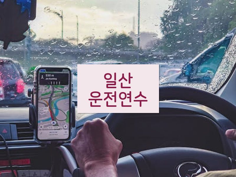 일산운전연수 후기