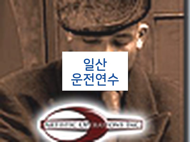 일산운전연수 후기
