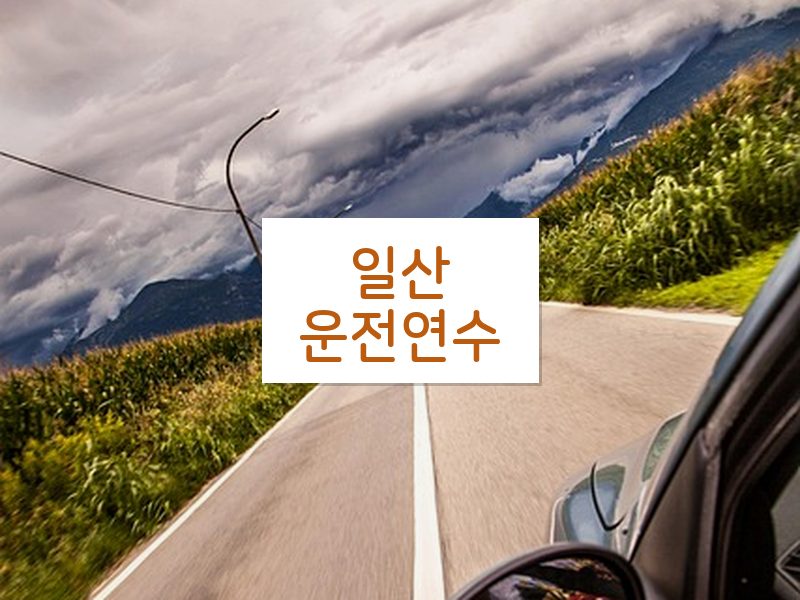 일산운전연수 후기