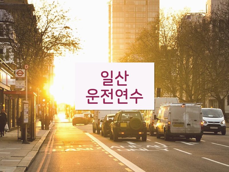 일산운전연수 후기