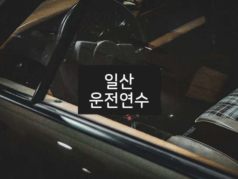 일산운전연수 후기