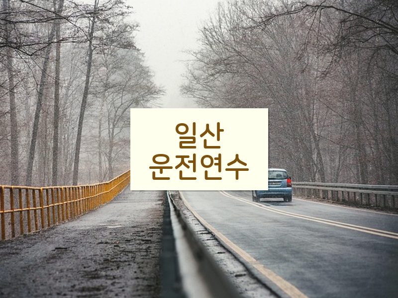 일산운전연수 후기