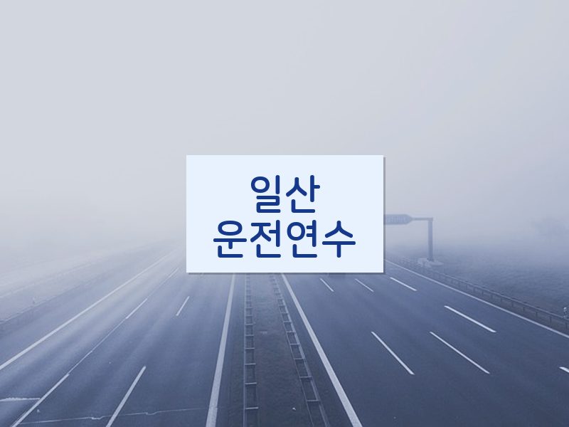 일산운전연수 후기