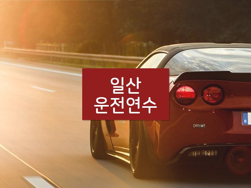 일산운전연수 후기