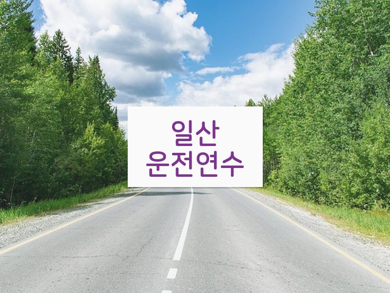 일산운전연수 후기