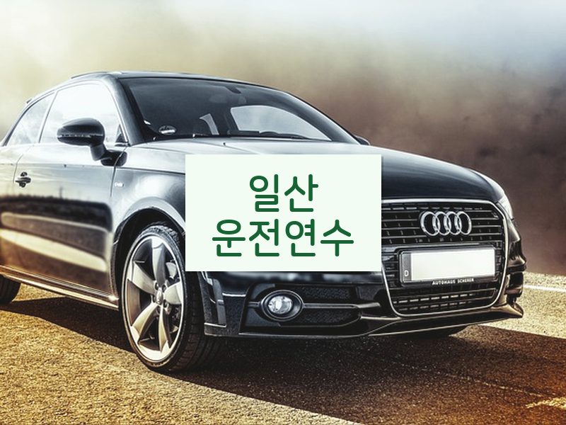 일산운전연수 후기