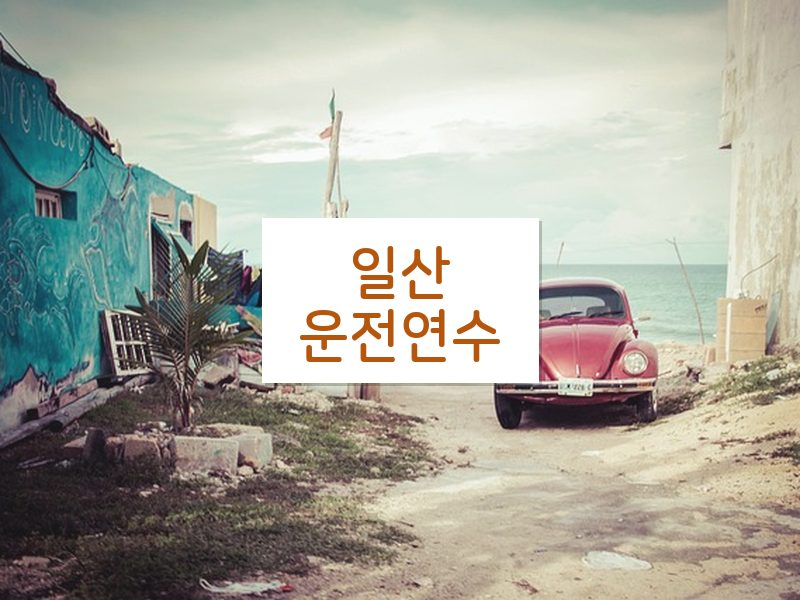 일산운전연수 후기