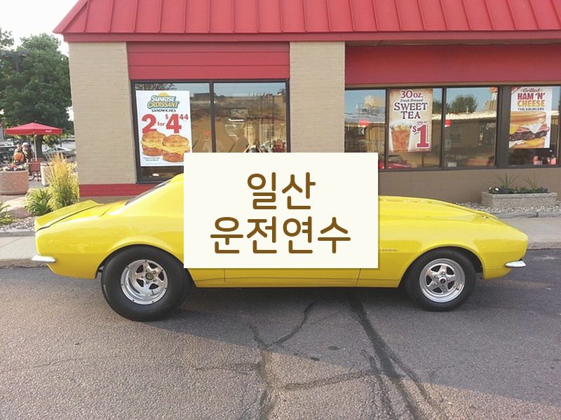 일산운전연수 후기