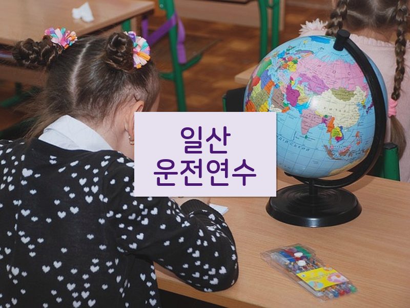 일산운전연수 후기