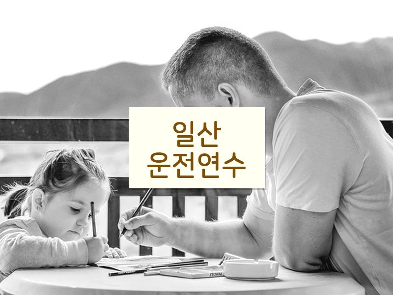 일산운전연수 후기