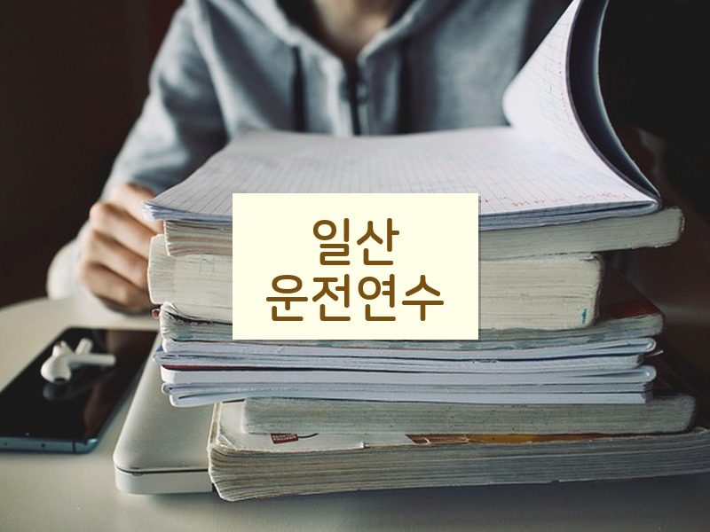 일산운전연수 후기