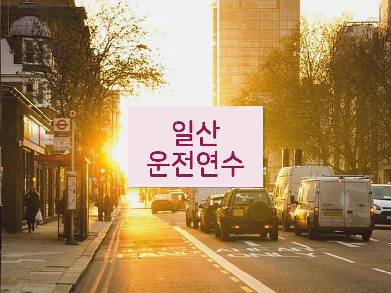 일산운전연수 후기