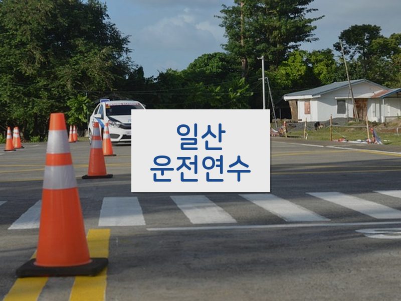 일산운전연수 후기
