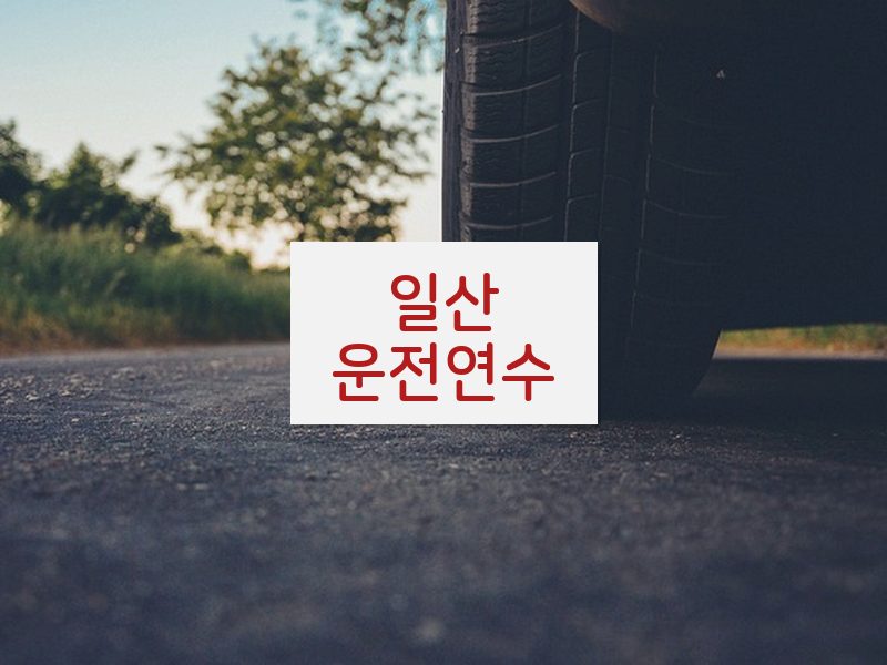 일산운전연수 후기
