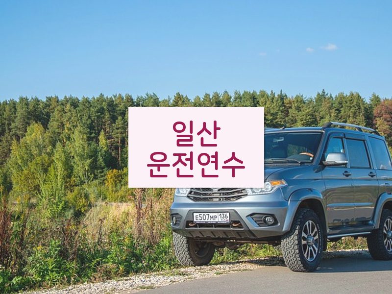 일산운전연수 후기