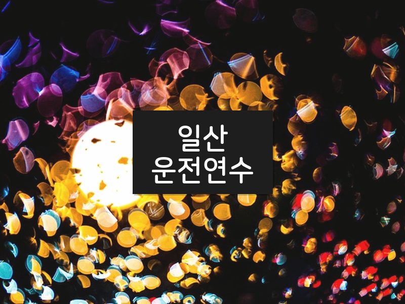 일산운전연수 후기