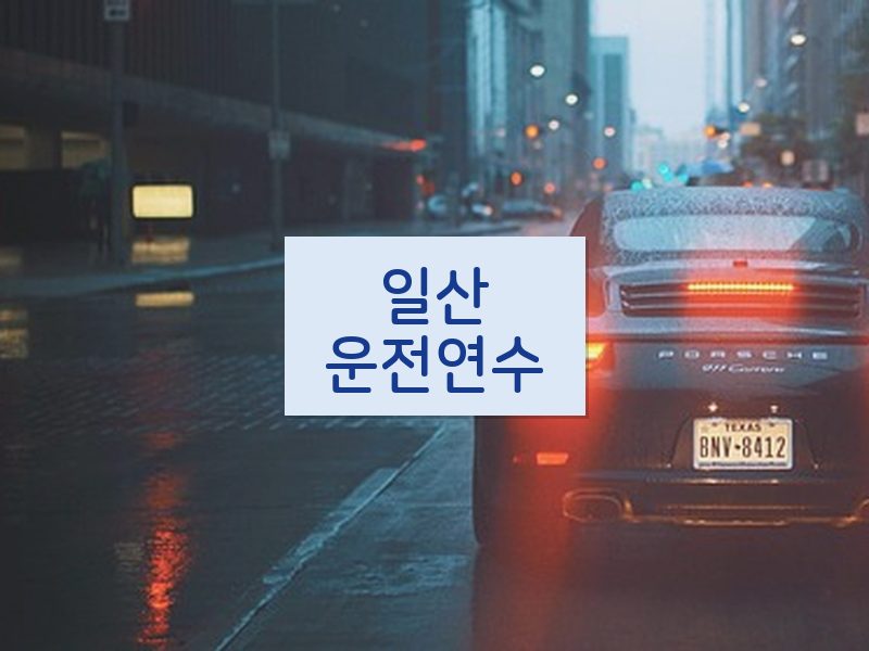 일산운전연수 후기